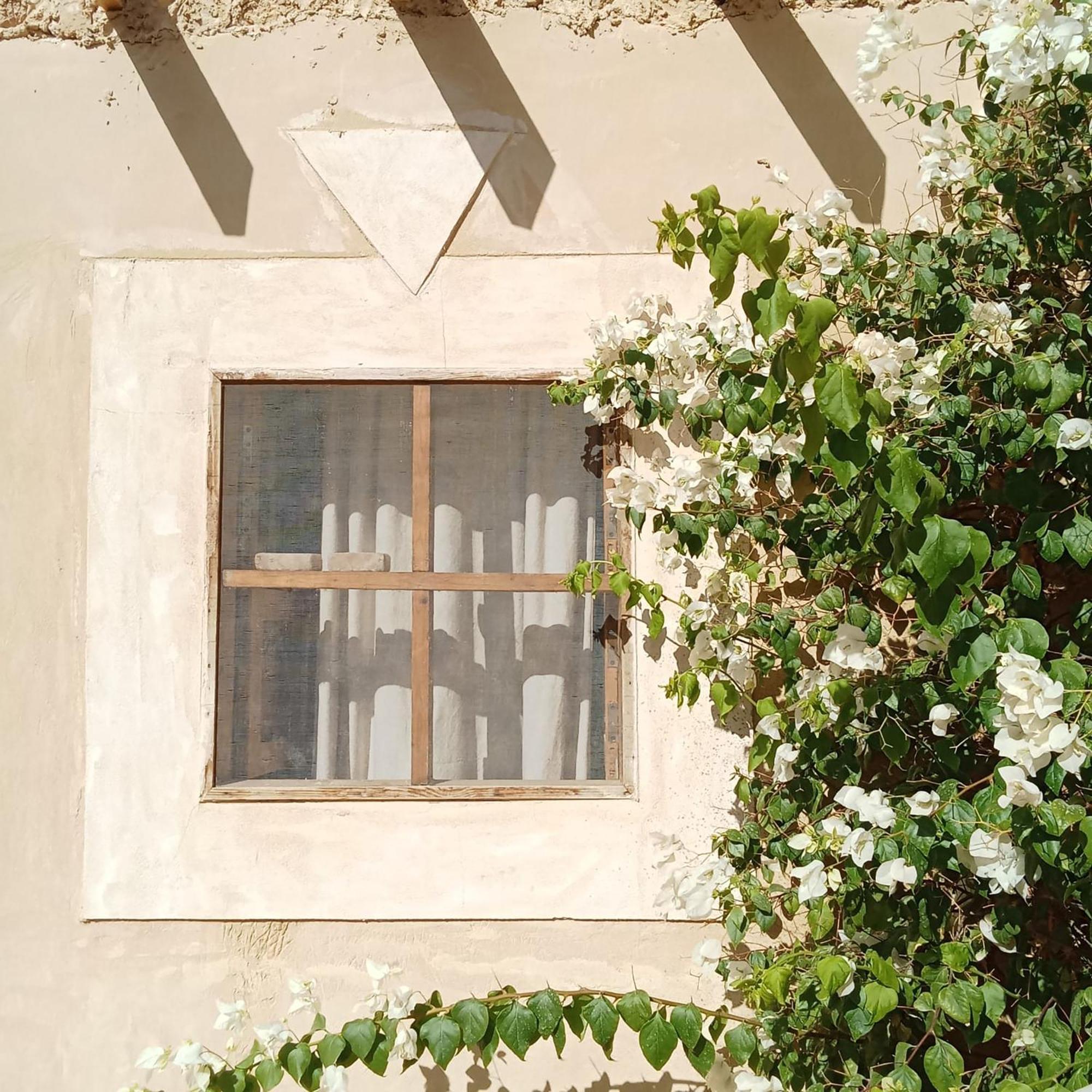 Tanirt Ecolodge Siwa Oasis 外观 照片