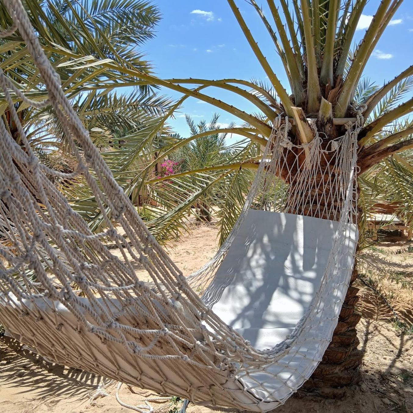 Tanirt Ecolodge Siwa Oasis 外观 照片